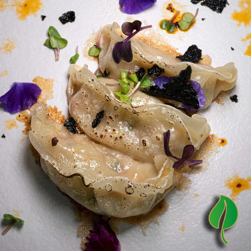 CHICKEN DUMPLINGS